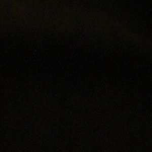 Meet your Posher, Dalton